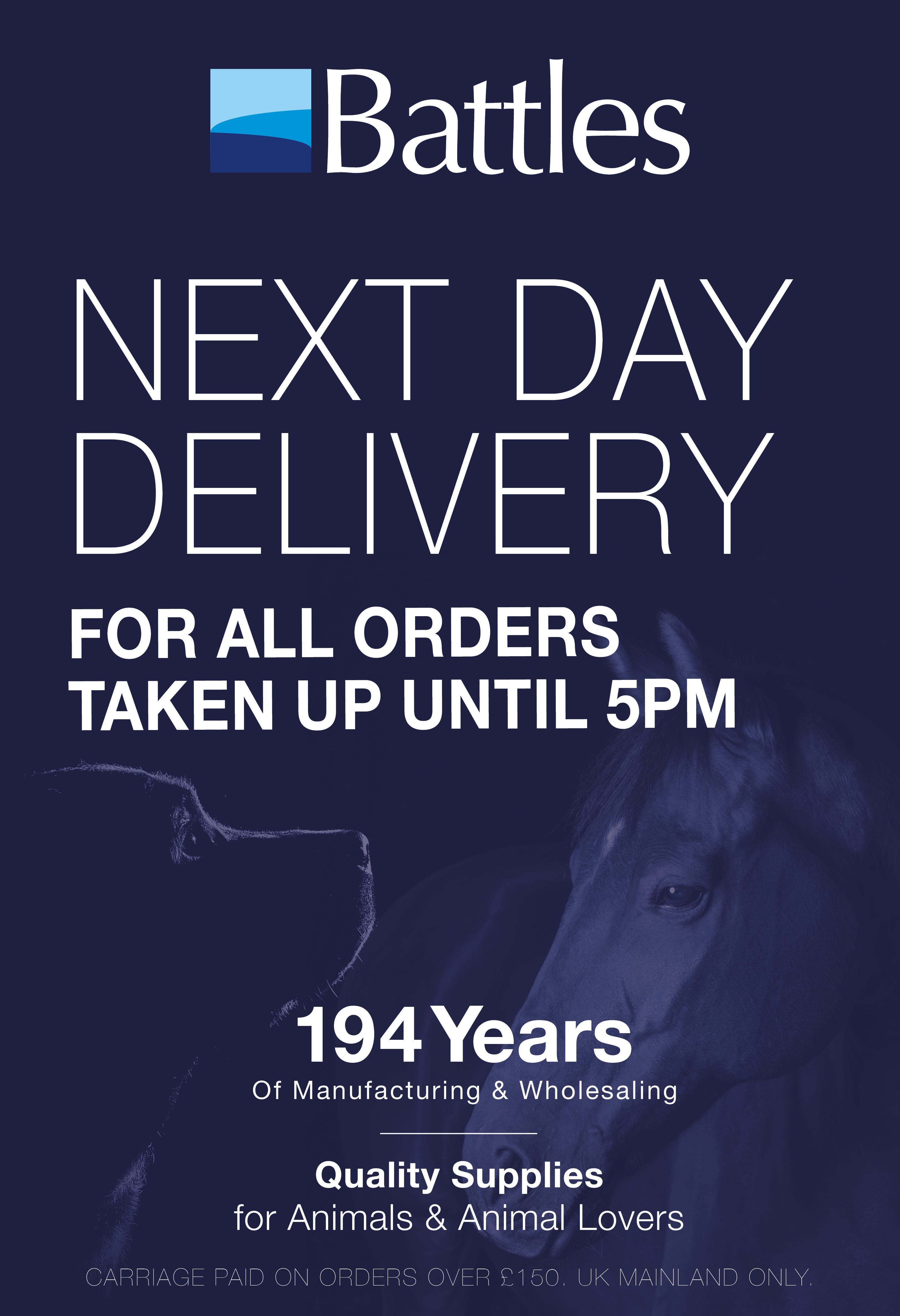 12 Days of Christmas?width=500